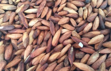 Top 100 Vietnam gift specials 2020 - 2021:  roasted sea almond seed in Con Dao (Ba Ria - Vung Tau)