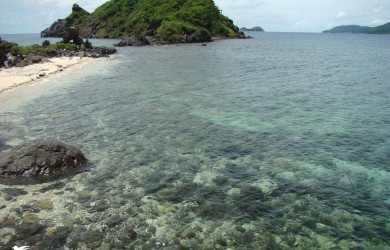 Vịnh Đầm Tre bãi biển hoang sơ, bí ẩn ít người biết ở Côn Đảo