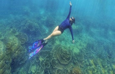 Beautiful places for coral reef snorkeling make tourists...
