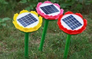 Không thực hiện các hoạt động cắm loa hoa sen khi tham quan, du lịch trên địa bàn huyện Côn Đảo