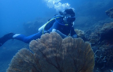 Khám phá đại dương Côn Đảo  Ảnh; Công ty Amadive Center Côn Đảo Discover Con Dao Ocean