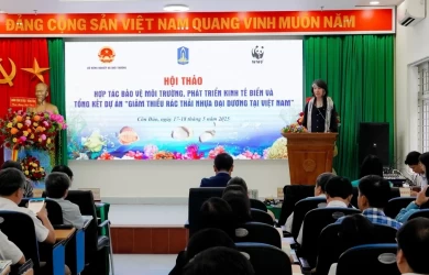Các chính sách giảm thải nhựa đang trở nên thực tiễn và chuẩn mực mới