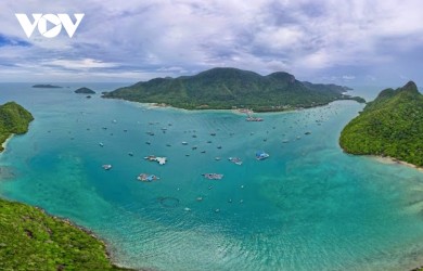 Discovering the pristine forest–marine ecosystem of Con Dao