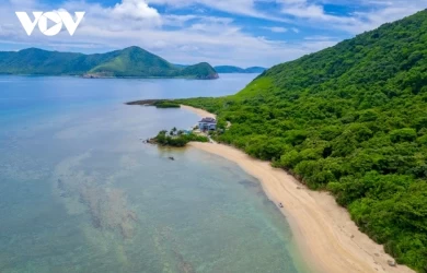 Khám phá nét hoang sơ hệ sinh thái rừng - biển ở Côn Đảo