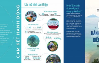 Côn Đảo – Hành trình hơn 3 năm hướng tới "Điểm đến giảm nhựa"