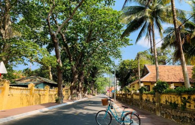 Discover a whole new side of Con Dao