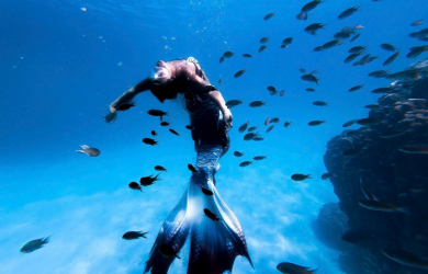 Summer diving season: explore the vibrant coral reefs of Con Dao