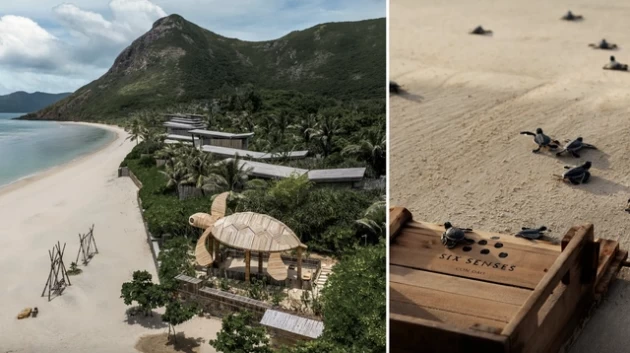 Côn Đảo vào top 7 điểm đến trải nghiệm thả rùa biển trên thế giới