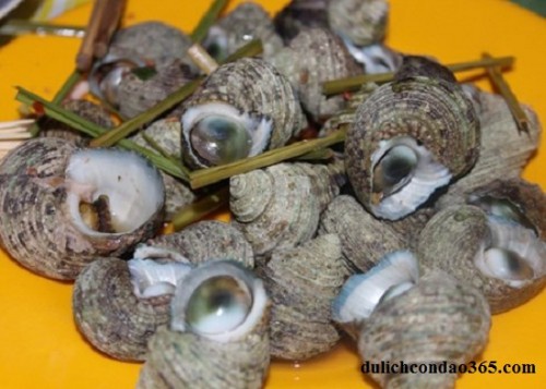 Ốc ngọt Côn Đảo