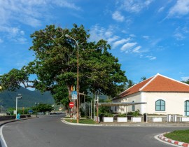 Bàng Côn Đảo
