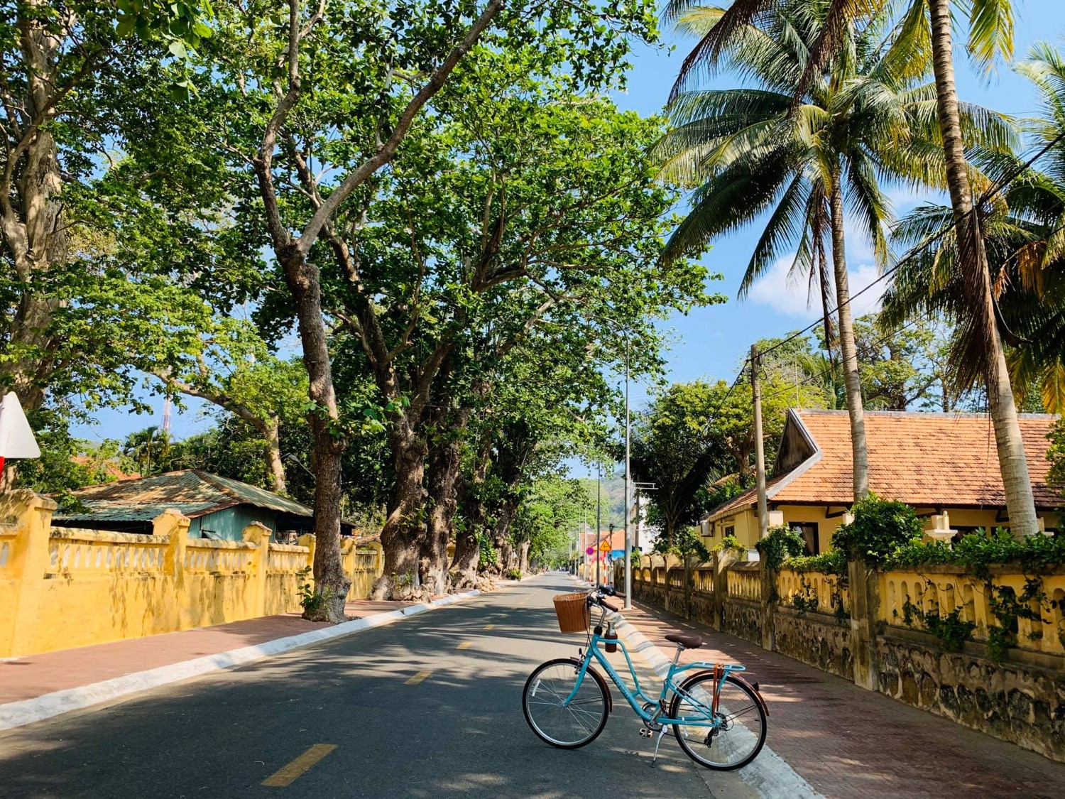 Discover a whole new side of Con Dao