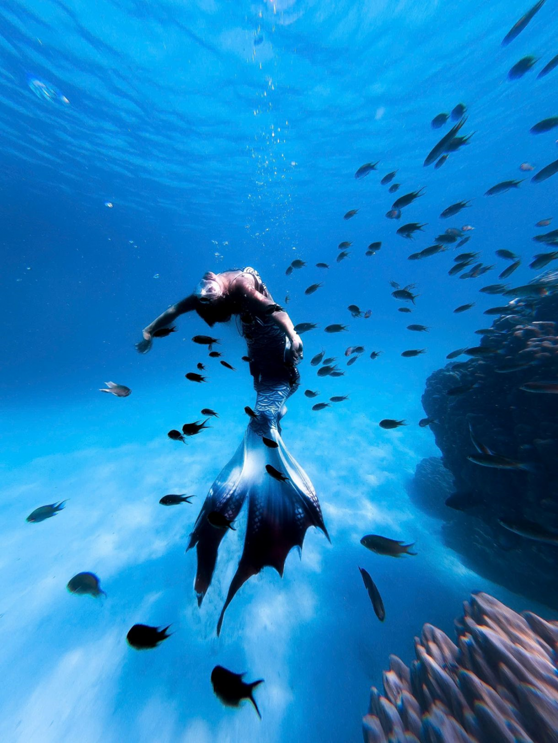 Summer diving season: explore the vibrant coral reefs of Con Dao