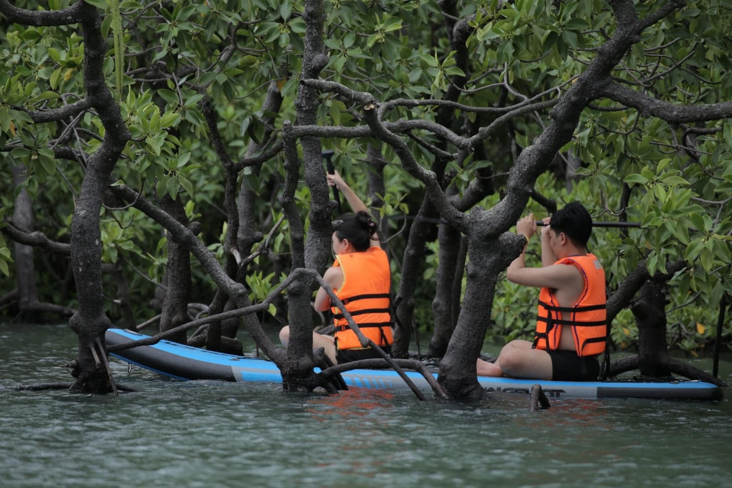 bay canh côn đảo