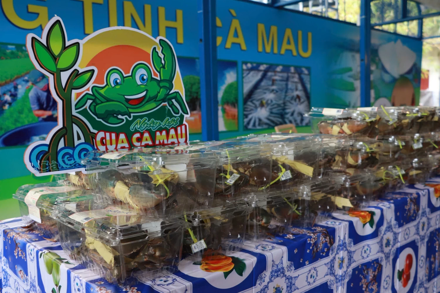 2386360776152133882 17634380427192002905254