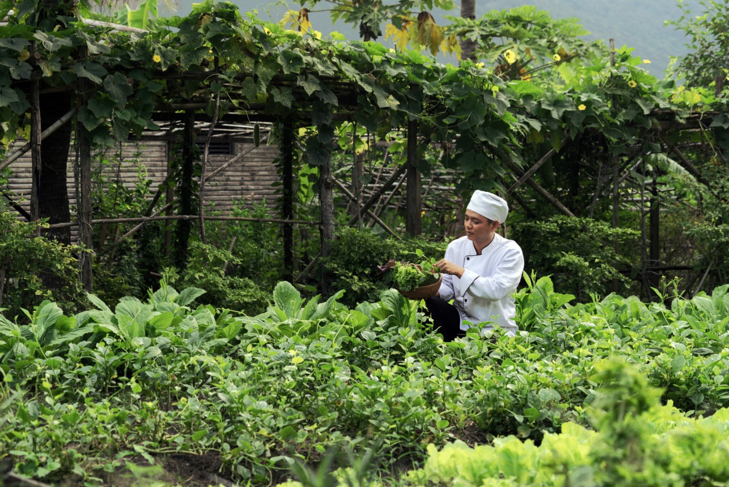 Six Senses Con Dao Sense Of Gardening scaled 1 2048x1367