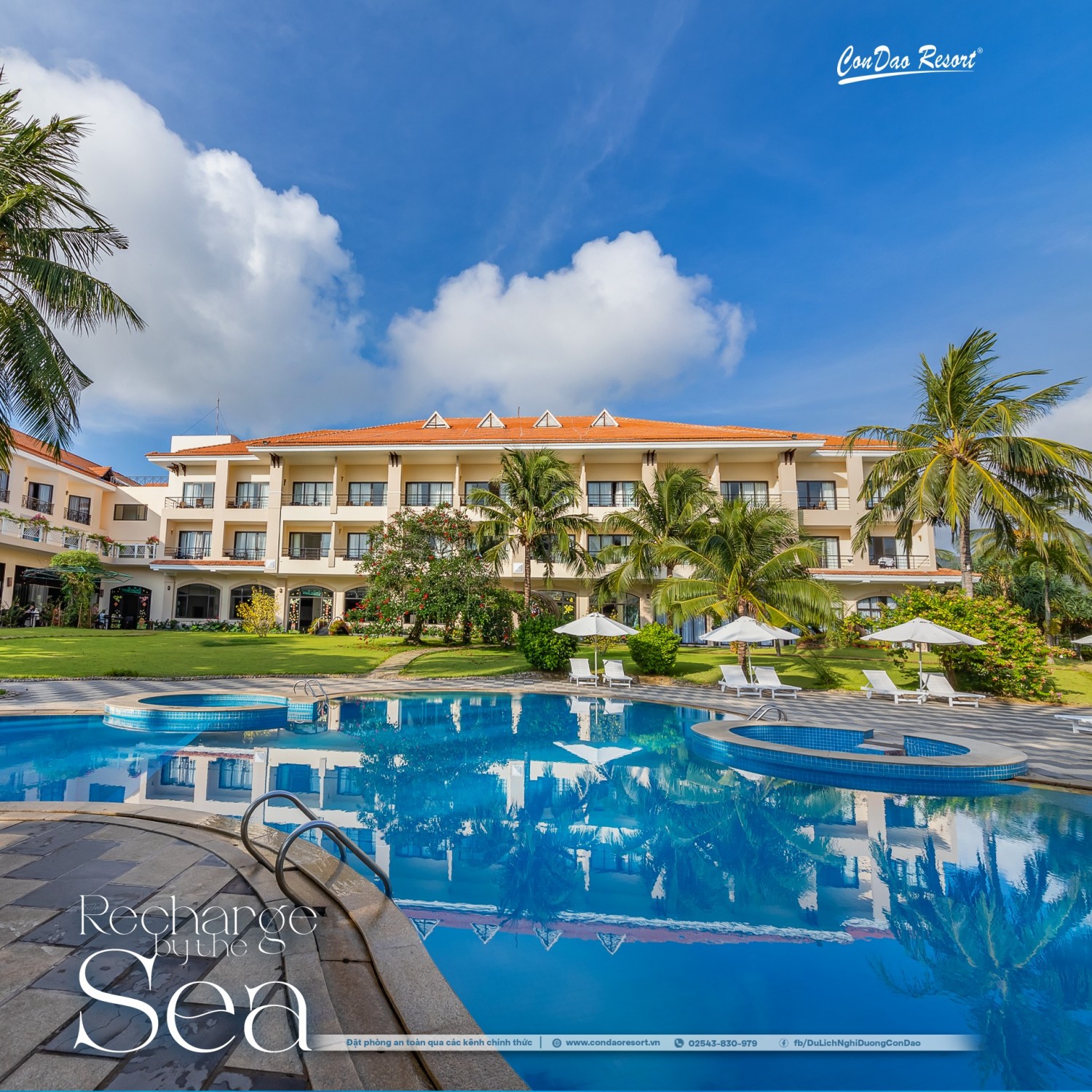 530409065 1167108728775527 2684321243767102006 n