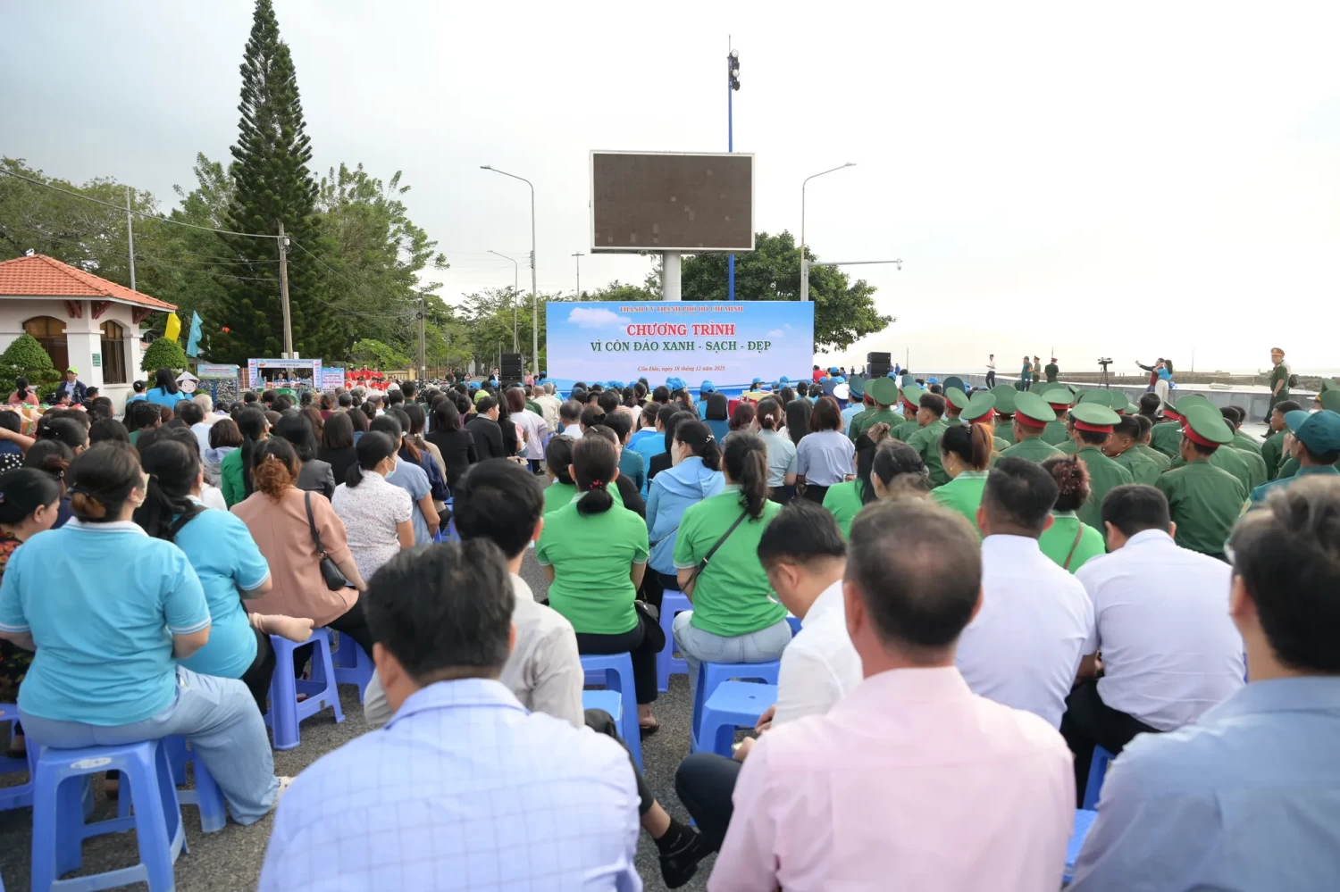 dsc 9311 8856 7906 jpeg