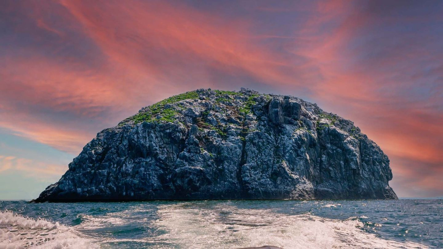 Trung Island – Con Dao National Park’s Sanctuary For Seabirds