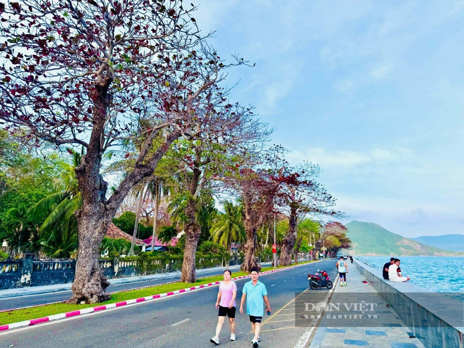 155825cay bang con dao mua thay la 12g 1553