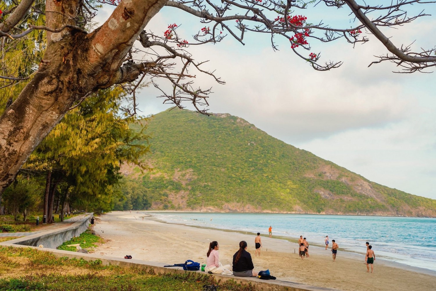 644943048 931097092756725 6967836481372753444 n