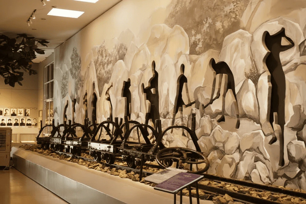 bao tang con dao luu giu hang nghin tu lieu va hien vat gia tri