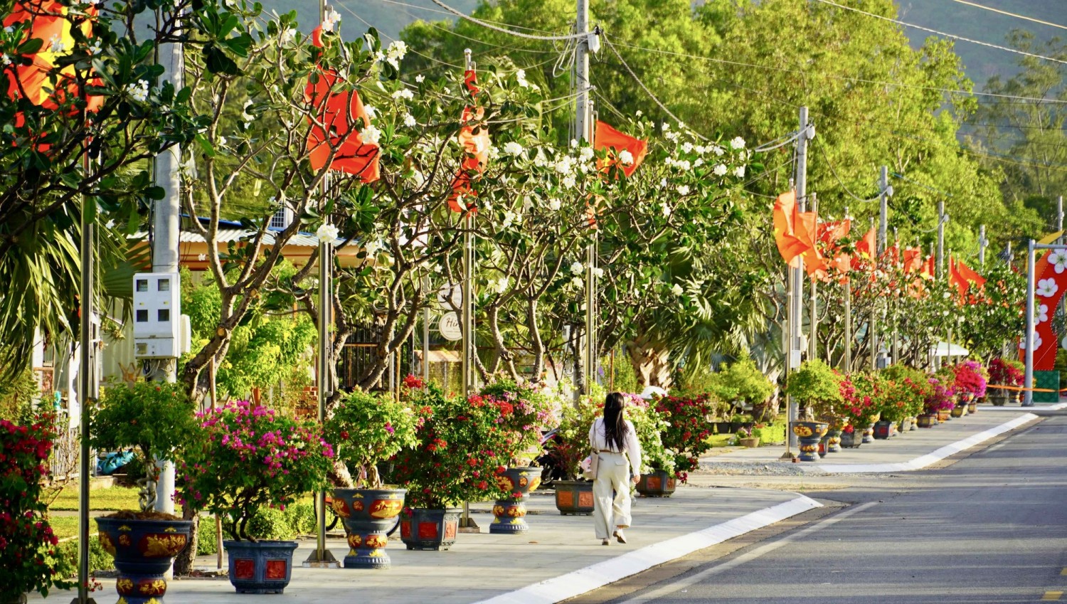 1jfkhnrvb4rni81 17691550942711856649631