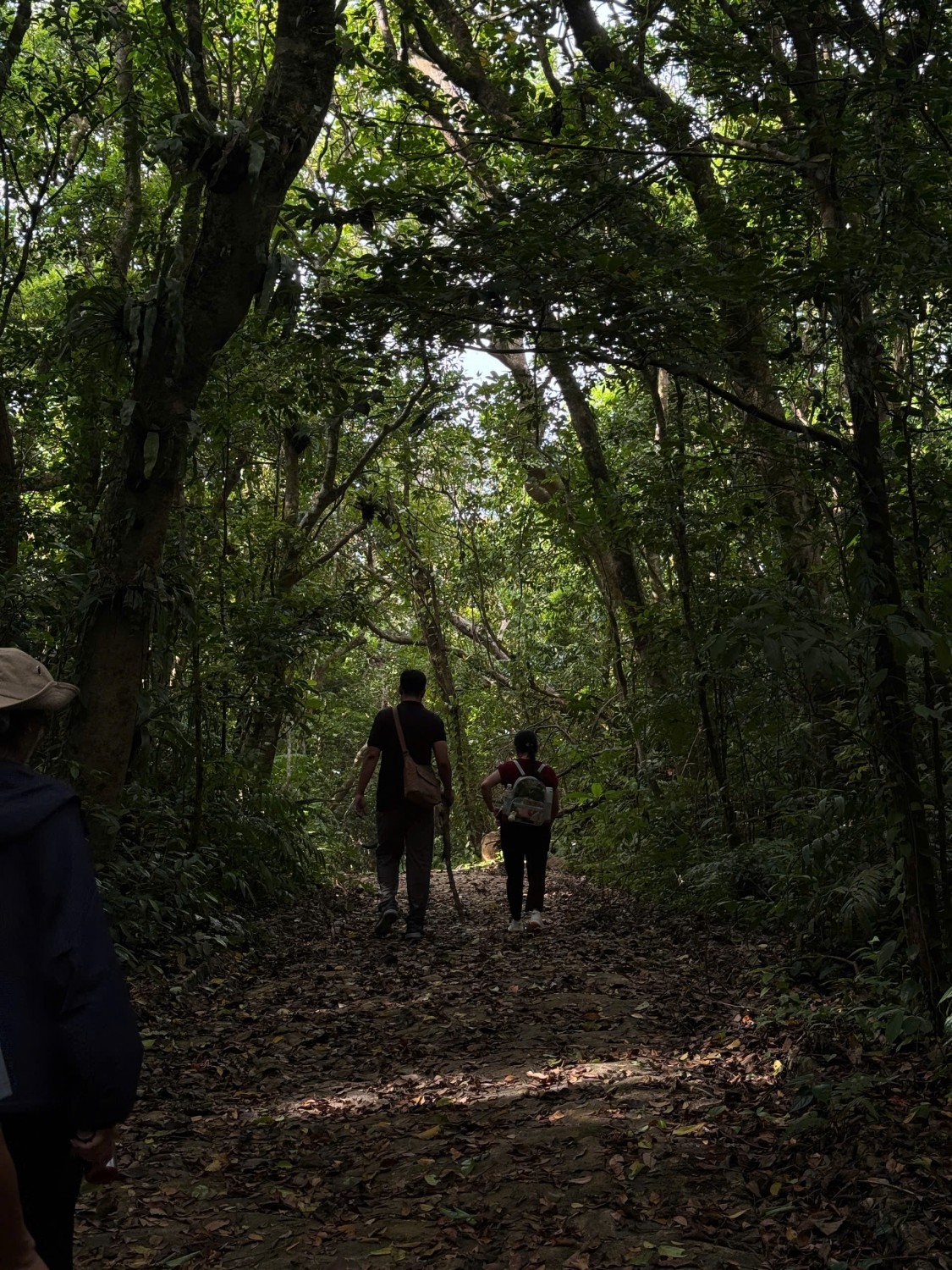 812b8568ac122d4c7403