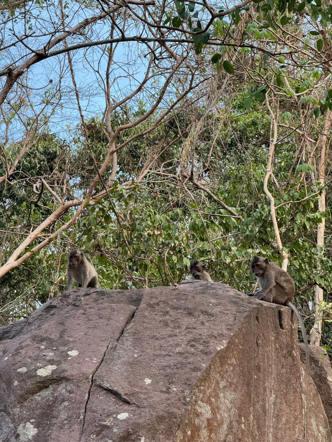 c29a6b14426ec3309a7f