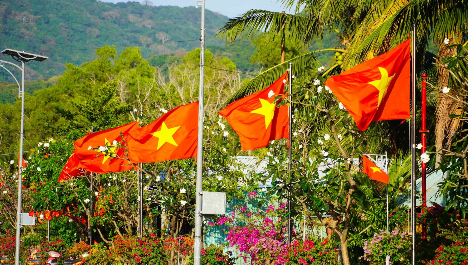 dsc04457dxo 17690629626851705960146