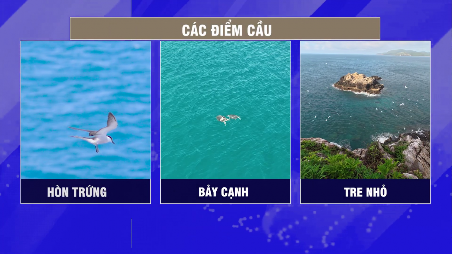 vietnam wild live 6 63287416103435196570298