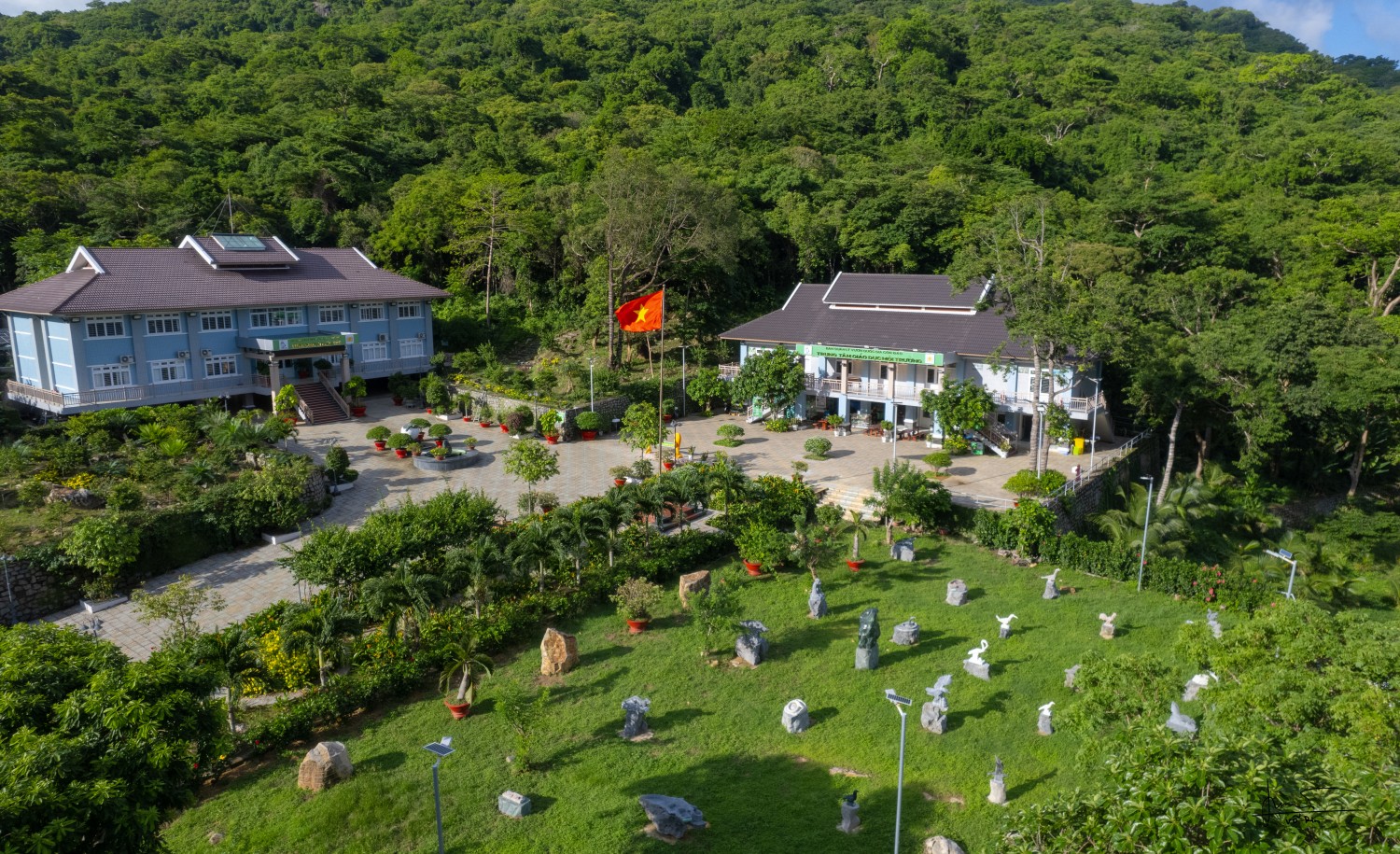 Cơ quan Vươn