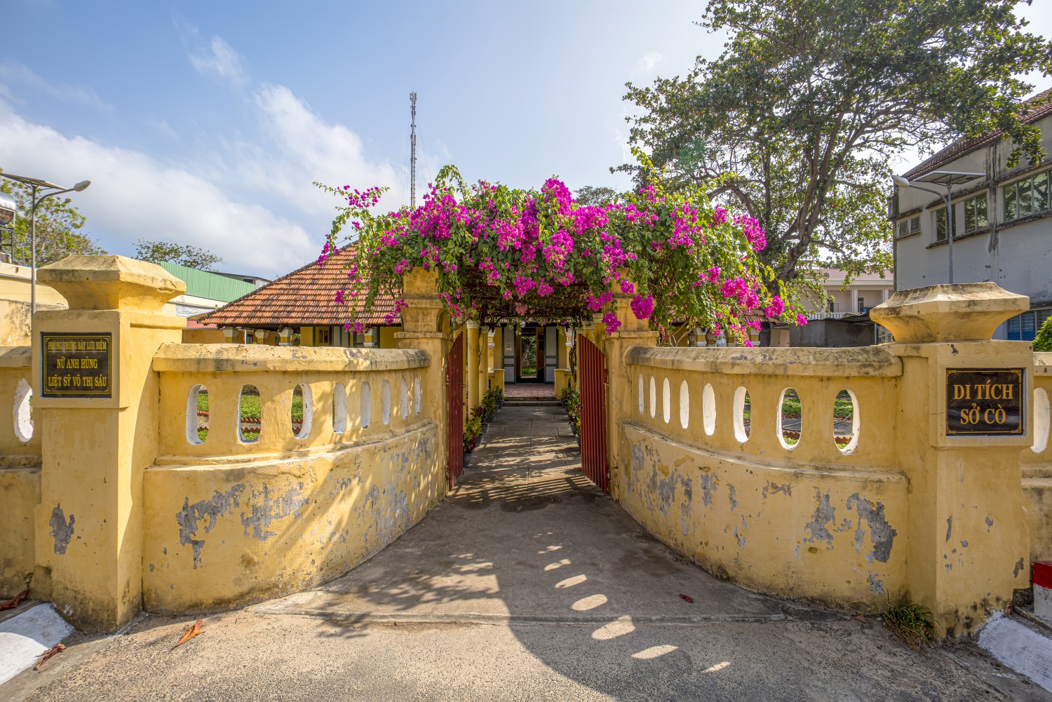 Sở cò