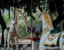 Miếu Cậu - Hoàng tử Cải